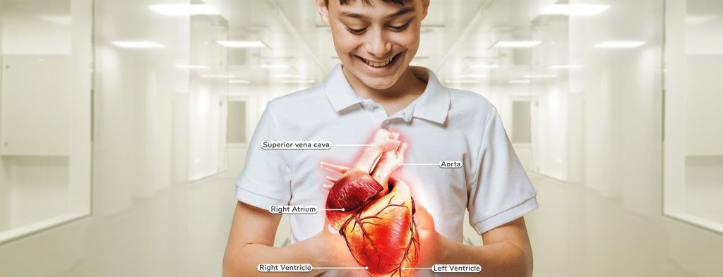 Irusu Block guide for heart